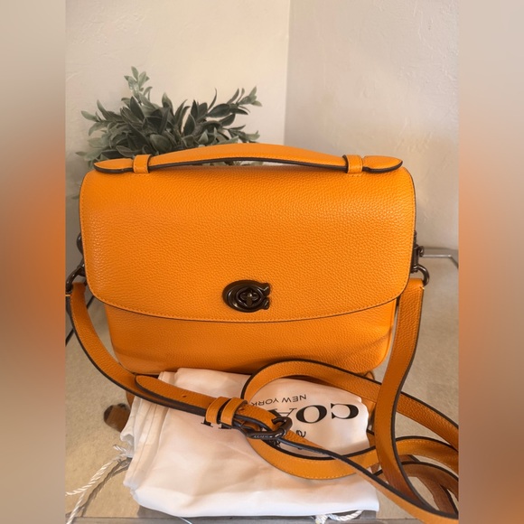 Coach Handbags - POLLEN COACH CASSIE